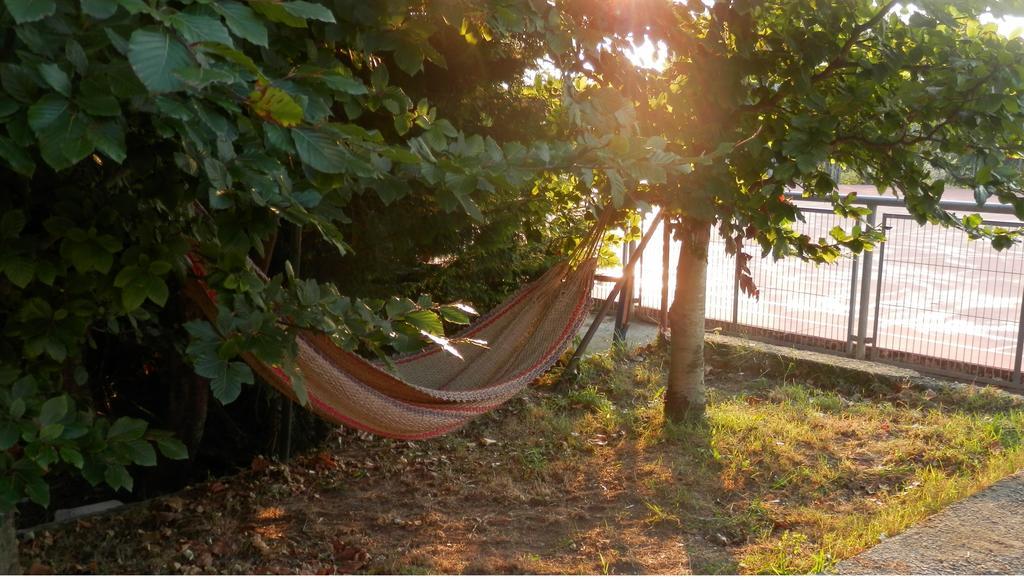 H.A.N.D Surf Hostel 랑그레 외부 사진