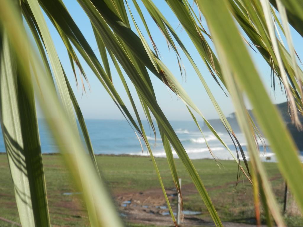 H.A.N.D Surf Hostel 랑그레 외부 사진
